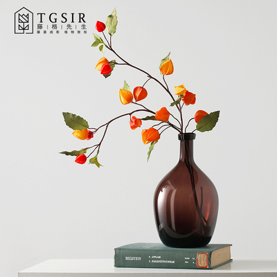 大号落地大肚子玻璃花瓶客厅水养吊钟绿植插花器高端装饰摆件