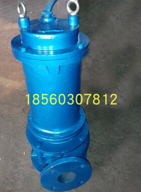 80QW25-15-3潜污泵 80WQ40-12-3家用污水泵 80QW50-8-3生活废水