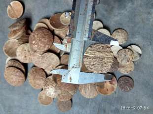 椰壳蒙心椰子壳蒙芯莫斯科树鱼缸造景圆片幼儿园手工葫芦口盖包邮