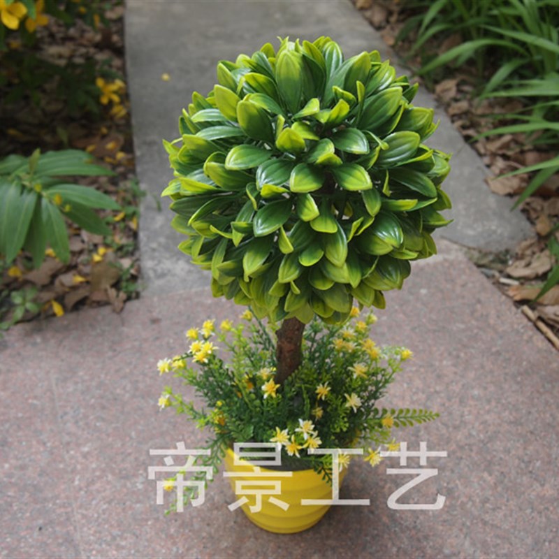 仿真小植物假盆景盆栽小草球米兰装配小花.摆放花卉窗台