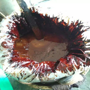 生漆世家 湖北恩施毛坝天然生漆 大漆土漆国漆 毛坝漆农自产自销