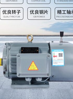 电磁制动三相异步电动机YEJ112M -4 4KWYEJ2-100L2-4 3KW刹车电机