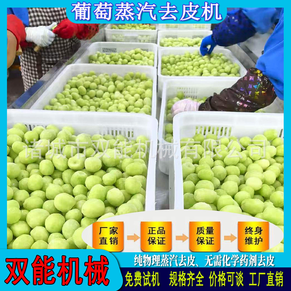蒸汽去皮机葡萄不伤果肉脱皮果酒罐头原料全自动果蔬去皮设备