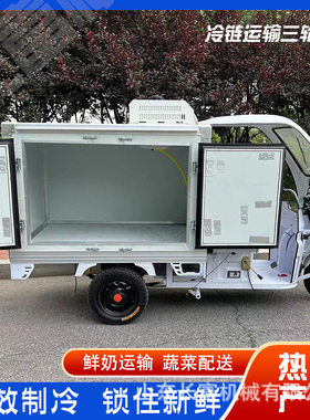 冷链电动三轮车冷藏冷冻送餐冰柜保温保鲜车蔬菜配送车