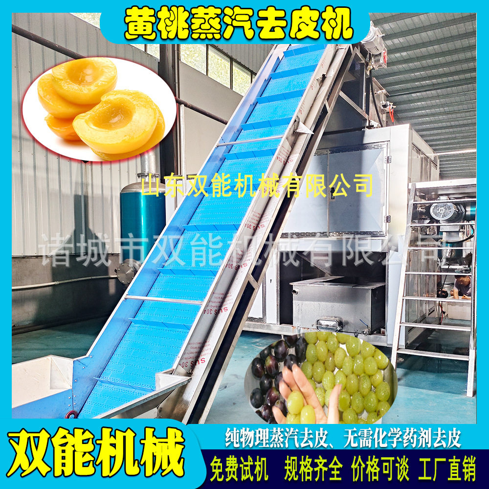 双能水蜜桃蒸汽去皮机白桃黄桃黄金冠罐头速冻桃瓣全自动加工设备