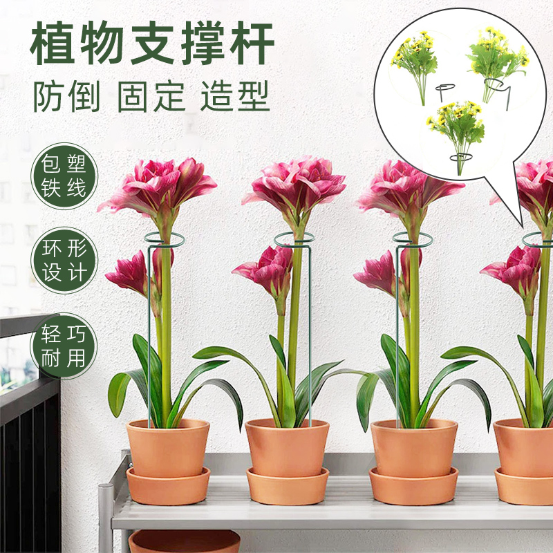 花卉植物固定防倒伏花支架护花蟹爪兰花架室外盆栽支架铁艺支撑杆