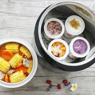 天际炖锅陶瓷电全自动隔水炖 煲烫家用大容量人人一锅五胆炖盅