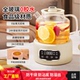 110V美规养生壶家用1.2升多功能全玻璃煮茶器烧水壶办公室花茶壶