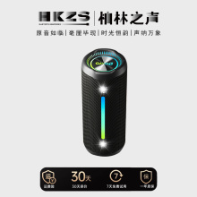 柏林之声蓝牙音箱超重低音炮35W大音量家用户外便携车载小音响