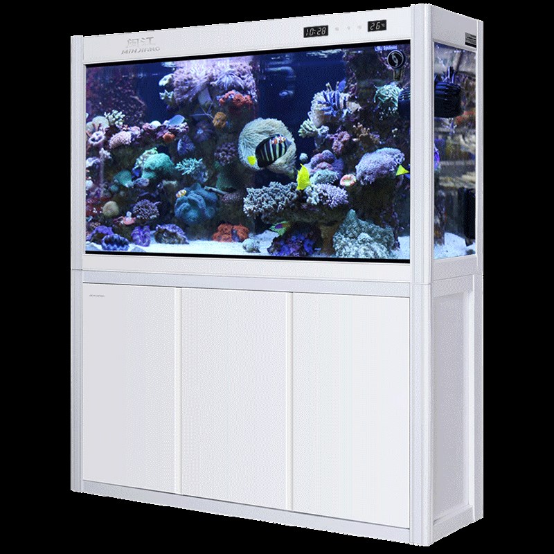 闽江生态鱼缸上过滤水族箱玻璃中大型底过滤金鱼缸长方形1/1.2米