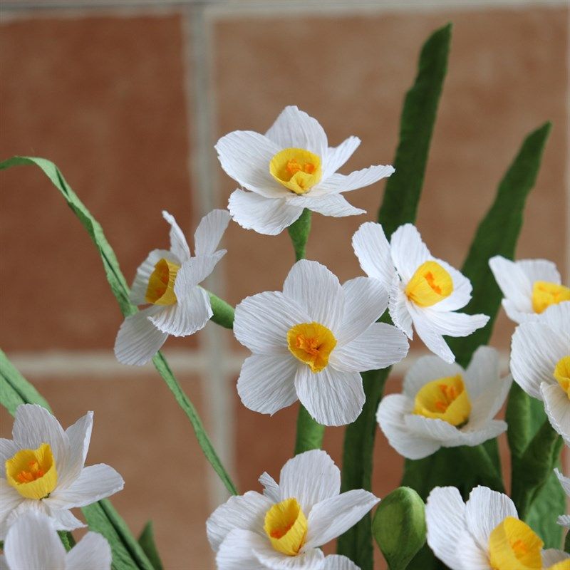 花心思纸艺 水仙花材料包 皱纹纸手工材料套装DIY纸花,鲜花速递/花卉仿真/绿植园艺,花艺材料,淘宝优惠券,粉丝福利购,淘宝优惠卷