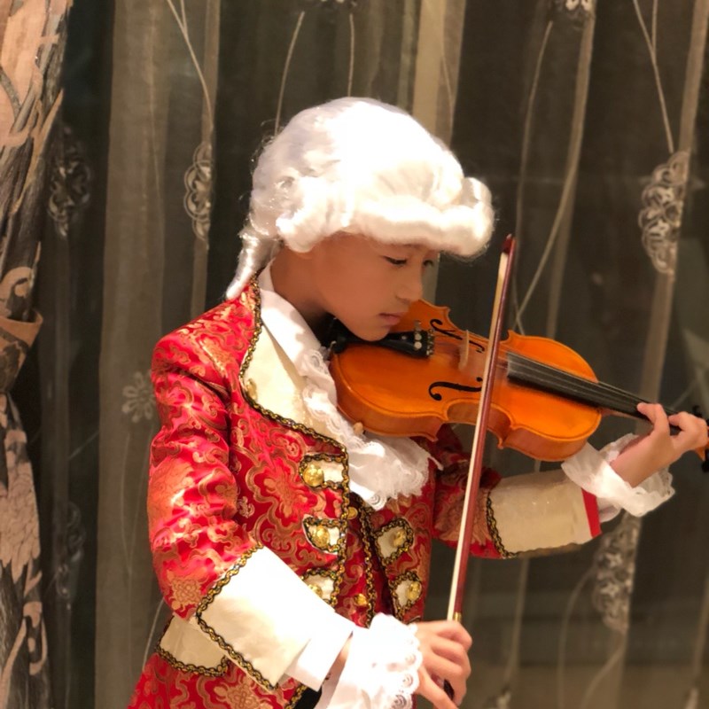 钢琴家演奏音乐宫廷演出表演头套法官律师假发男女儿童成人假发