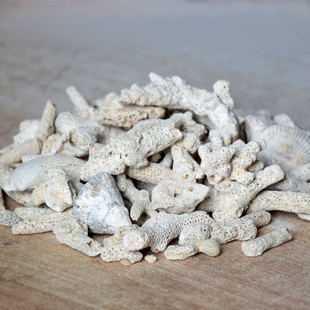 珊瑚石鱼缸过滤材料珊瑚骨珊瑚沙珊瑚礁底砂死石水族箱造景珊瑚石