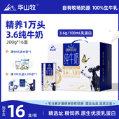 华山牧3.6g蛋白纯牛奶200gx16瓶常温奶生牛乳早餐盒装 整箱
