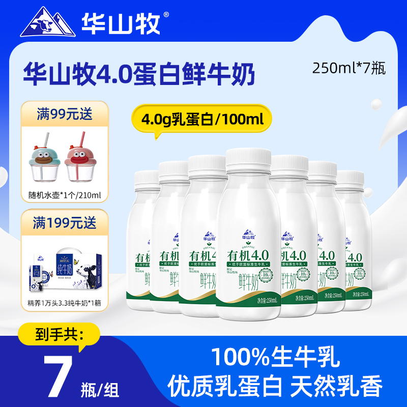 华山牧鲜牛奶有机4.0g蛋白低温奶