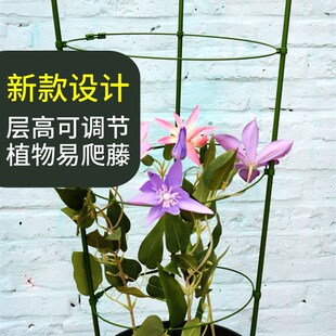 三角梅爬藤架固定器阳台花架造型支架铁线莲山乌龟三角梅造型支架