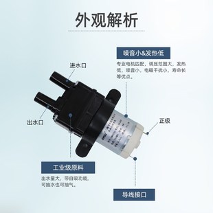 工业用水泵超微小型循环抽水吸水饮用纯净水隔膜自吸水泵
