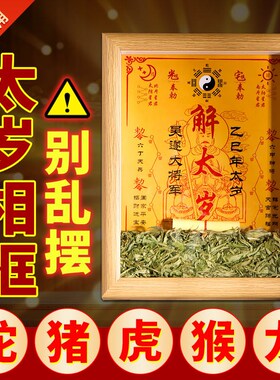 2025年乙巳太岁吴遂大将军画像框摆件本命年属蛇猪虎猴龙蕲春艾草