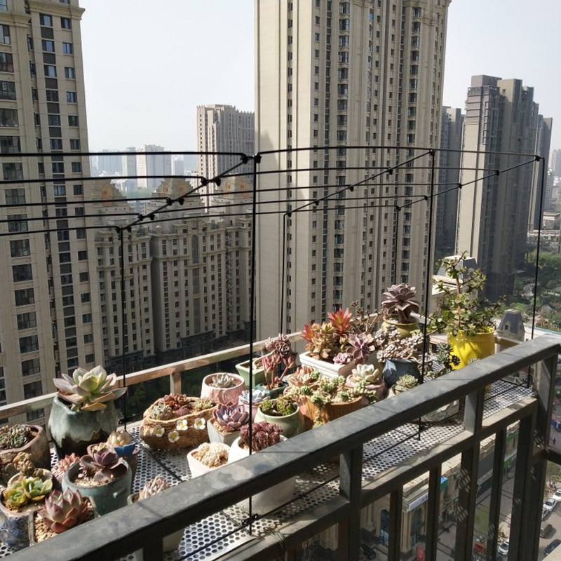 定做阳台花架上的多肉盆栽防雨防晒防冻暖房防鸟防虫专用梯形棚架,鲜花速递/花卉仿真/绿植园艺,其它园艺用品,淘宝优惠券,粉丝福利购,淘宝优惠卷