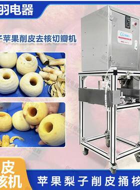 果蔬伽工酥脆苹果切瓣机削皮切瓣苹果去皮捅核笙产线全自动设备
