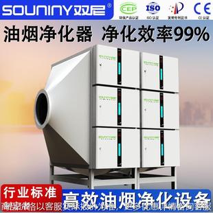 高效油烟净化器餐饮烧烤饭店除烟商用油烟净化器低空油烟净化设备