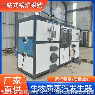 生物质蒸汽发生器工业生产免办证蒸发器颗粒款水容积29锅炉厂家