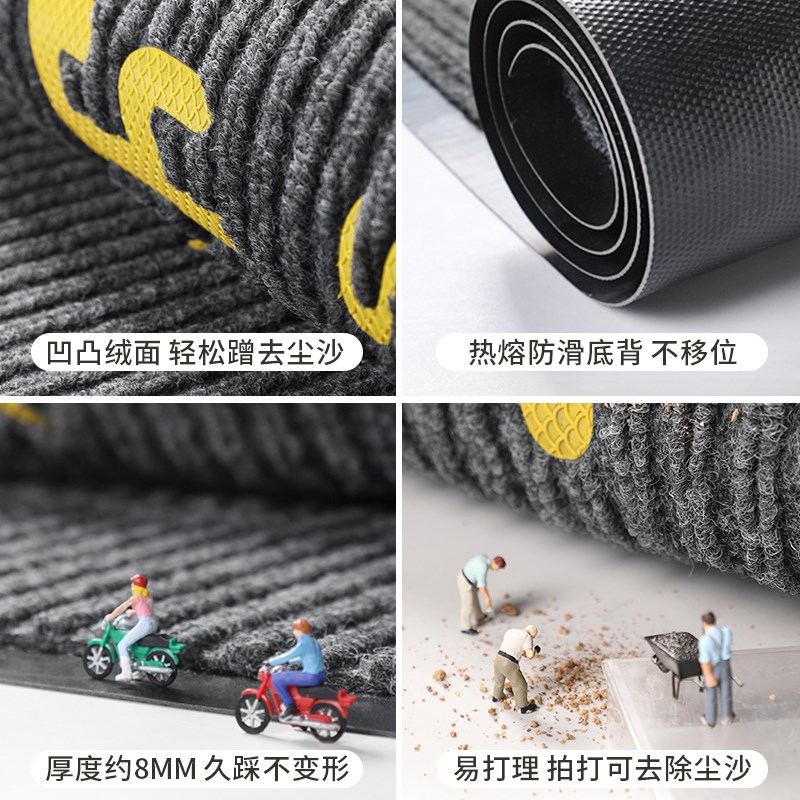 地垫入户门垫进门门口垫子2024新款玄关大门脚垫门外家用防滑地毯