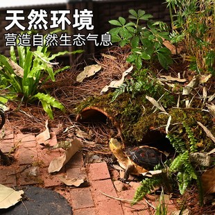 黄缘龟垫材半水龟生态环境造景安缘龟箱保湿专用龙眼叶松针松树皮