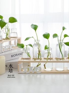 创意水培花瓶绿萝透明玻璃插花容器HOME家居餐客厅电视柜装饰摆件