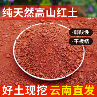 云南红土种植土纯天然高原酸性腌鸭蛋红泥土养花种菜通用营养土