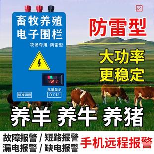 牧场养殖电子围栏 畜牧电围栏防护网系统 牛羊猪养殖高压脉冲主机