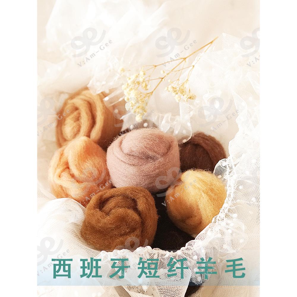 Am-Ge西班牙短纤卡其棕色系羊毛条羊毛毡戳戳乐工具手工diy材料5g