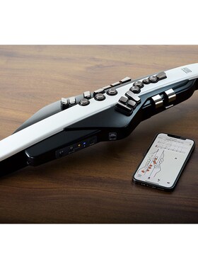 olnd罗兰 电吹管w电子萨斯老年人初学级