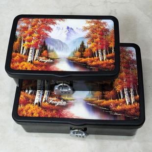 首饰盒大号收纳盒带锁铁盒大尺寸有盖锁盒 化妆品整理箱 密码锁盒