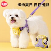 宠物狗狗猫咪外出牵引绳胸背带摇摇乐胸背式 防丢栓绳卡通可爱狗链