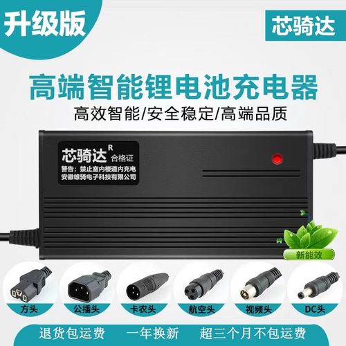 锂电池36v磷酸铁锂12串充电电压43.8伏5A8A10A15A18A芯骑达充电器