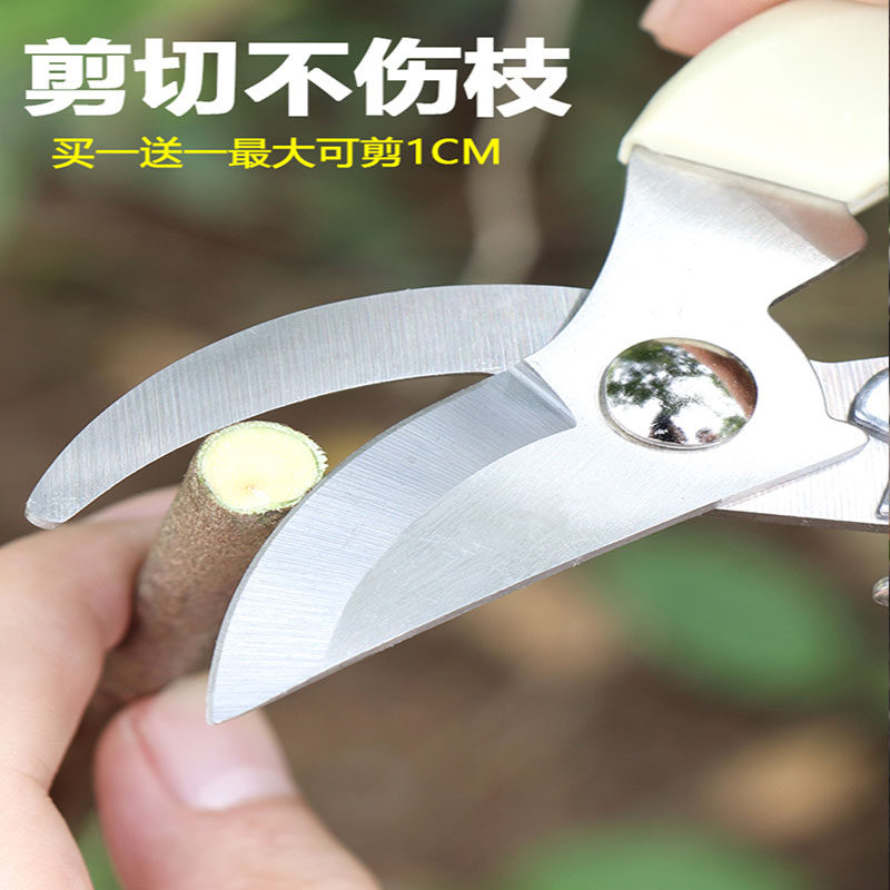 不锈钢强力园林园艺修枝剪家居修建树枝花卉剪刀园林家用省力修花