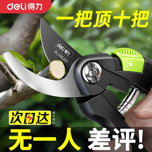 得力剪枝剪刀园林花艺修剪树枝剪刀果树剪刀粗大花剪园艺花卉剪子
