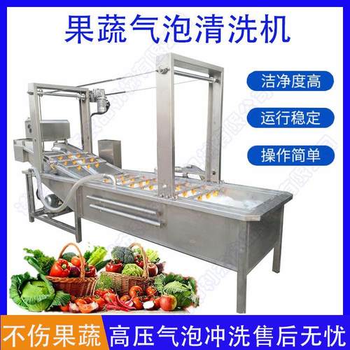 不锈钢大枣气泡清洗机 全自动水果清洗线 果蔬气泡清洗机厂家现货