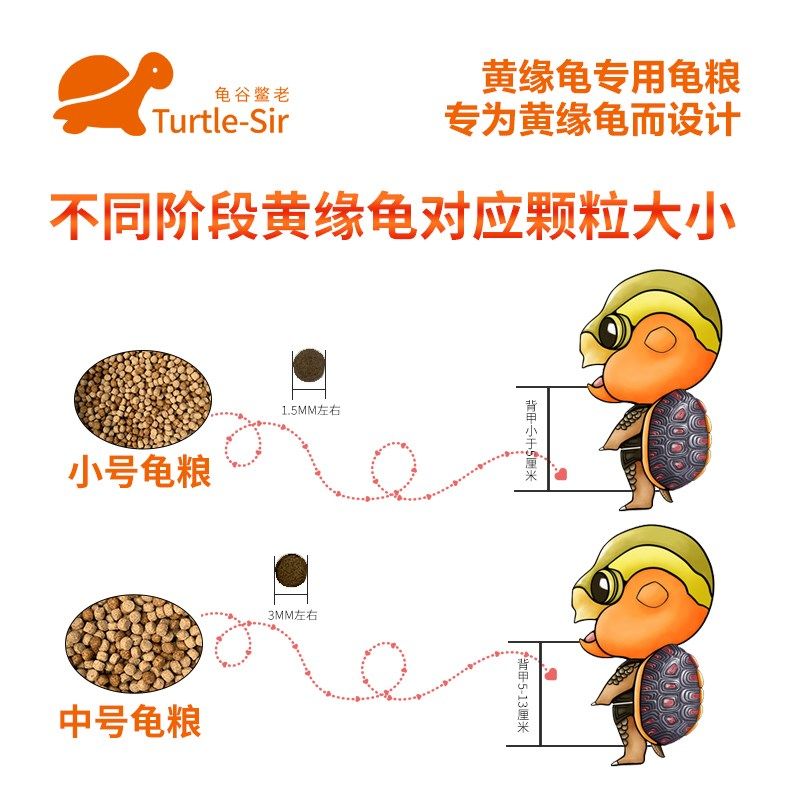 【龟谷鳖老】黄缘龟粮 半水龟饲料安缘闭壳龟增色发色增体新配方,宠物/宠物食品及用品,观赏龟/鳖饲料,淘宝优惠券,粉丝福利购,淘宝优惠卷