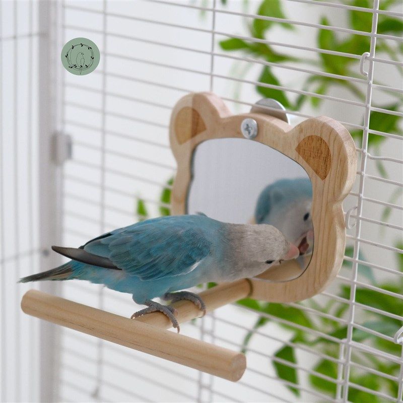 鸟用镜子原木镜子鹦鹉玩具趣味解闷中小型鸟用品鸟笼配件挂笼镜,宠物/宠物食品及用品,鸟玩具,淘宝优惠券,粉丝福利购,淘宝优惠卷