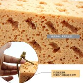 洗车海绵特大号珊瑚 擦车汽车清洗用品蜂窝棉不伤漆耐用吸水棉