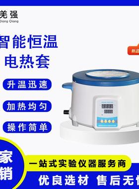 智能恒温电热套ZNHW实验室恒温加热套智能数显磁力搅拌电加热套
