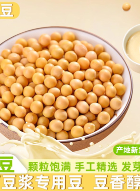 当季农家自产黄豆颗粒饱满黄豆打豆浆优质黄豆新鲜黄豆五谷杂粮