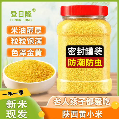 农家自产黄小米颗粒饱满米香甜软糯黄小米五谷杂粮早餐小米粥