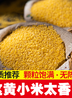 陕西米脂黄小米当季农家自产颗粒饱满五谷杂粮小米黄小米早餐粥