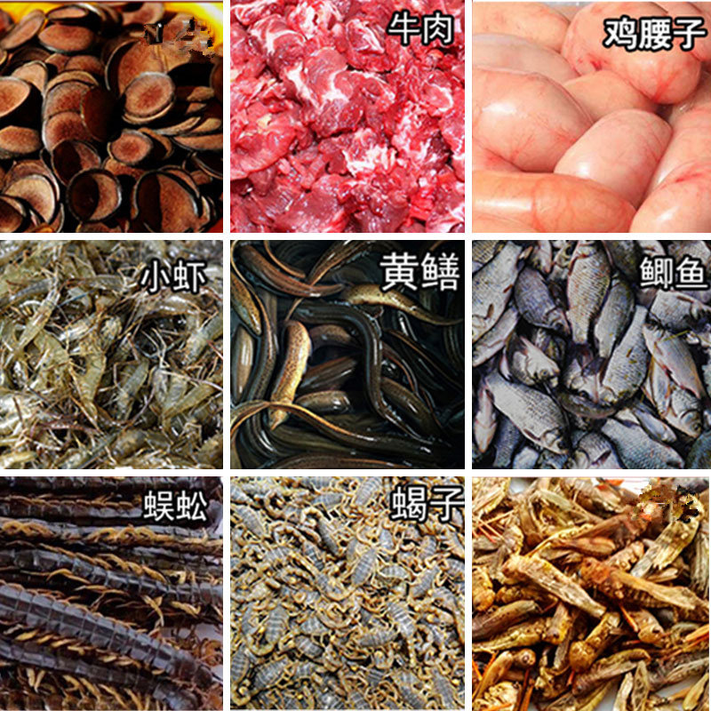 王俊冲 手工画眉鸟食饲料 提性壮膘料 打鸟料斗鸟料打彩专用鸟粮