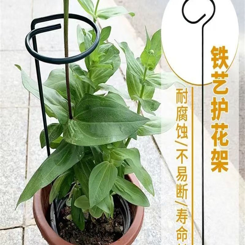 植物防倒伏支架支撑杆锻铁绣球蜘蛛植物园艺固定架攀缘藤花苋菜花