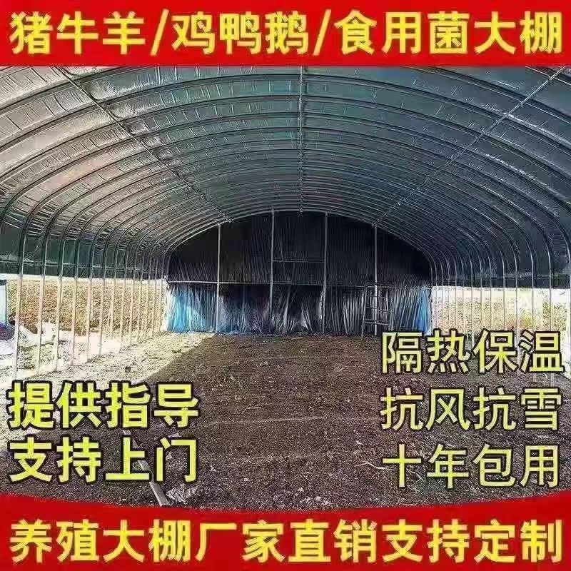 养殖大棚全套养鸡棚鸡舍猪棚牛棚羊棚鸭棚鹅棚养殖棚专用大棚骨架