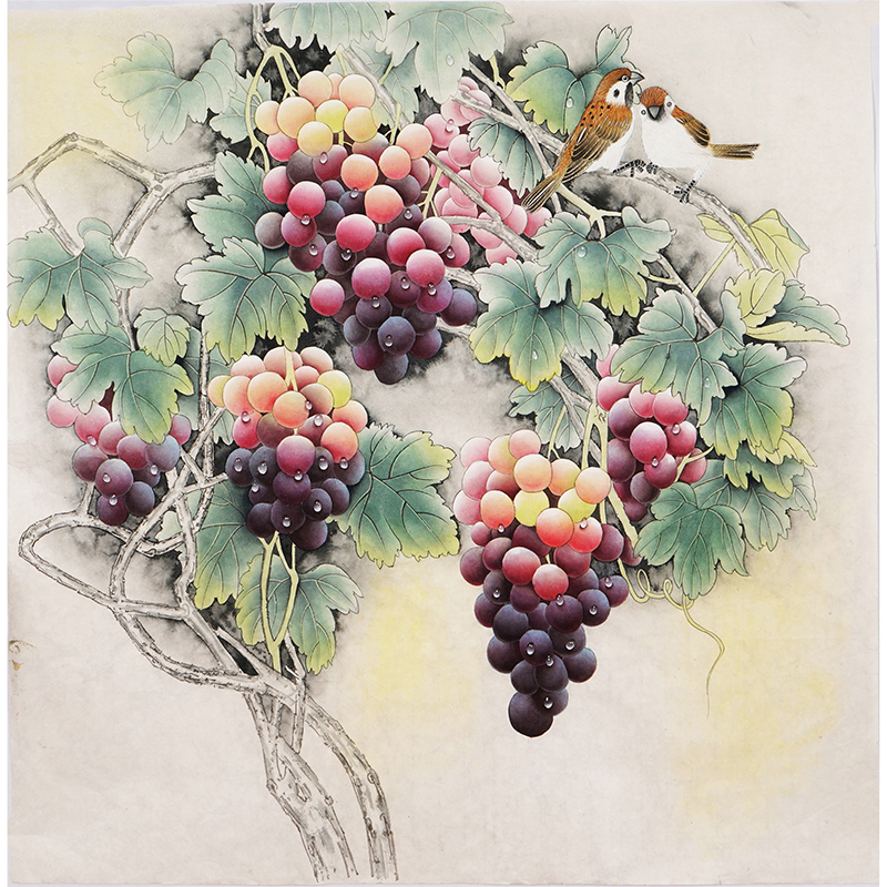 工笔画葡萄斗方国画手工精品手绘中式客厅字画无款画没题款z0008